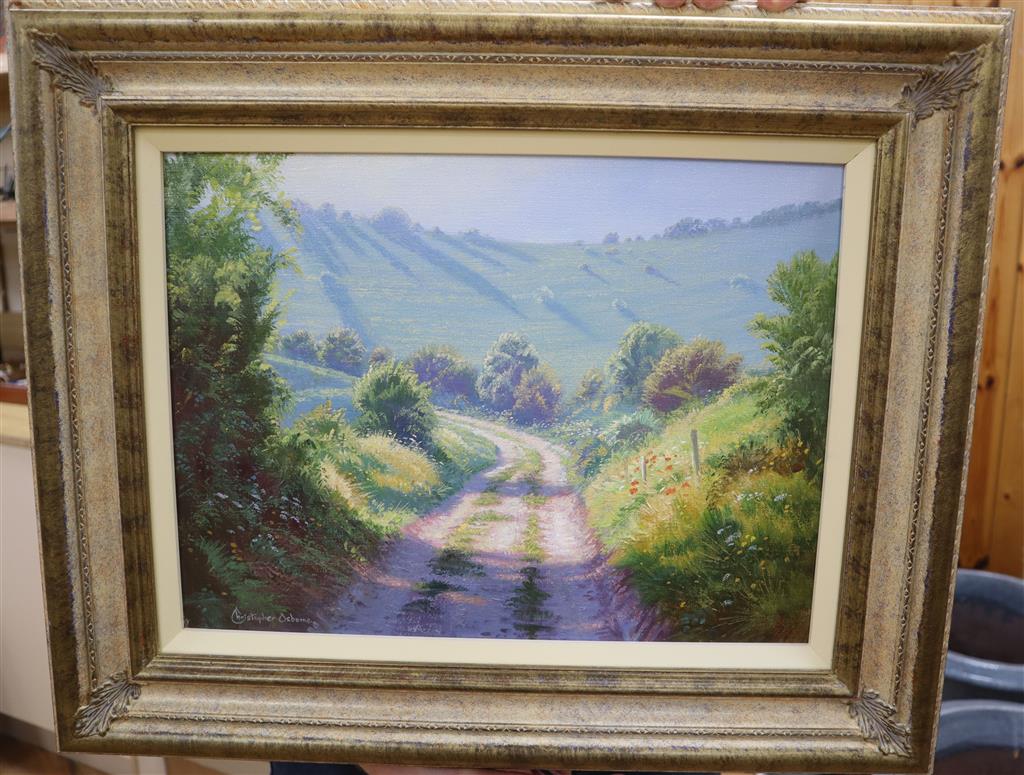Christopher Osborne, oil on canvas, Morning Sunlight, Truleigh Hill, signed and inscribed verso, 30 x 40cm
